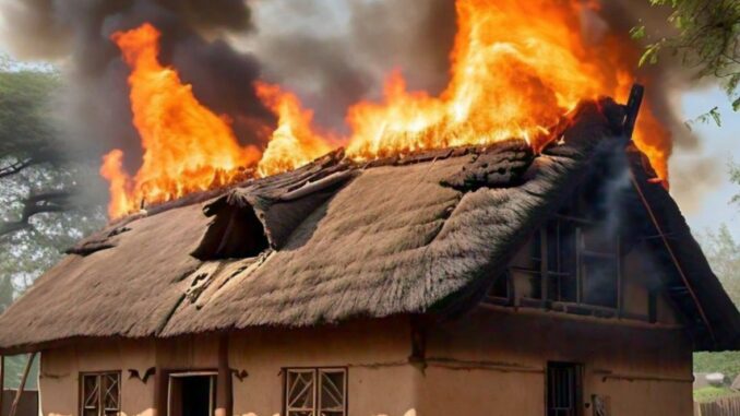 IMG-20241111-WA0021_1