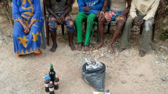 IMG-20241115-WA0008-1024x768 (2)_1