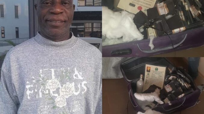 IMG_20241118_183124_1731951230