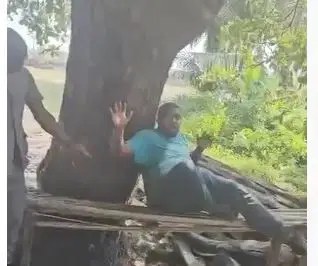 Customs-video_1733251010