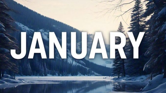 IMG-20241222-WA0009_1