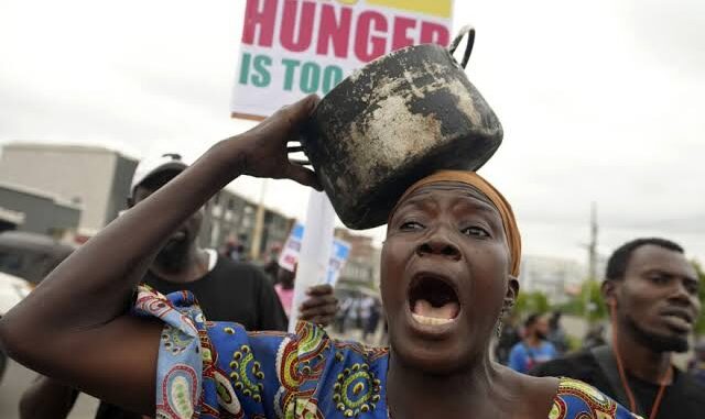 images (5)_1733225270