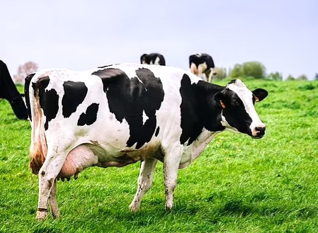 20250112_144058_1736689280