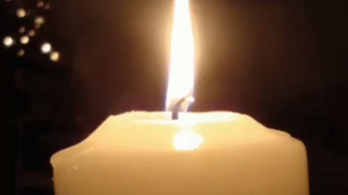 Screenshot_20250308-114214_1