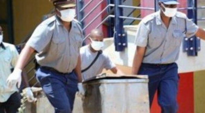 MixCollage-07-Oct-2024-09-21-AM-9610-750x375