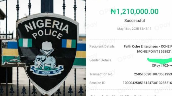 IMG-20250521-WA0014-768x384