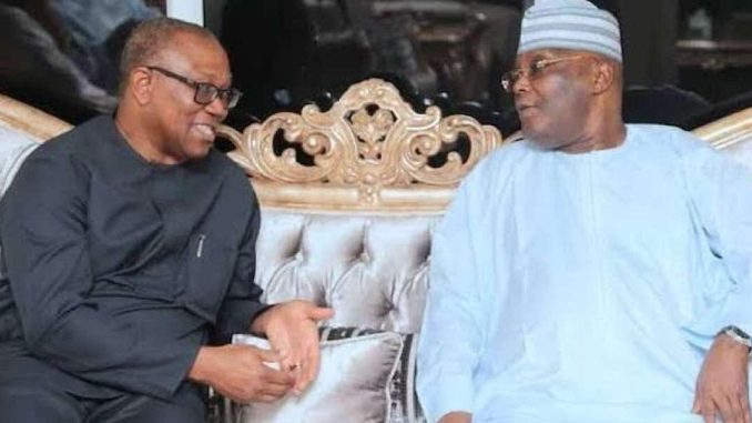 ae289746-3a66-49a8-96ec-5fdb9a4f2830 (1)