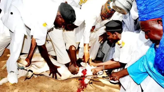 19331452_4194618vllkyt5upu5uevneldc9c0c18jpgbee99d643c77036fa60d10e6e9d70cfb_jpeg_webpcfca0672da56c20c16e386efab61a645