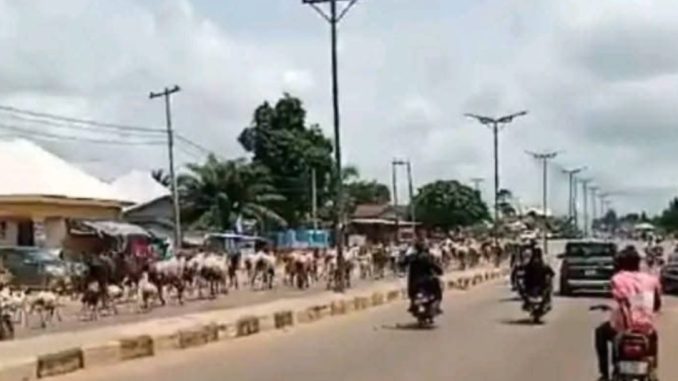 Benue-protest-2-1024x1024_1